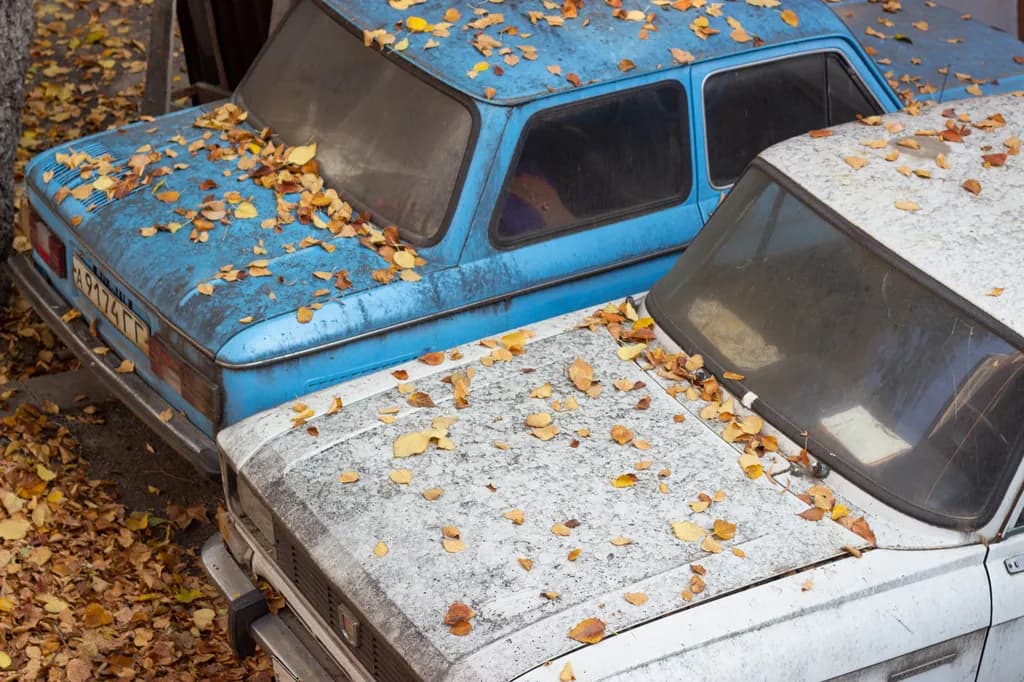 Scrap Car Recycling