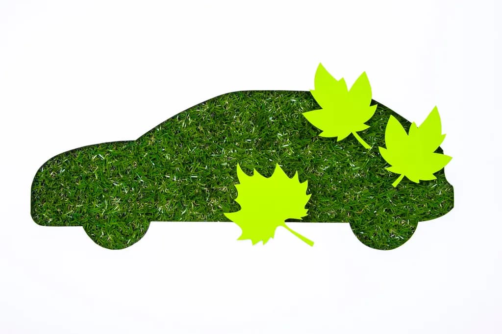 Environmental Responsibility